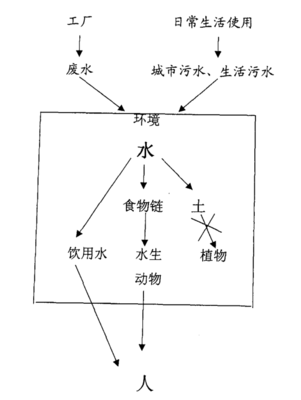 复旦博士论文警示 美缝剂含有壬基酚需谨慎使用